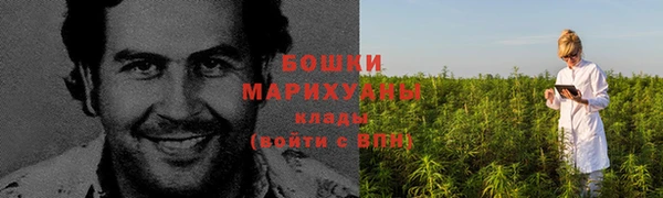 шишки Семёнов
