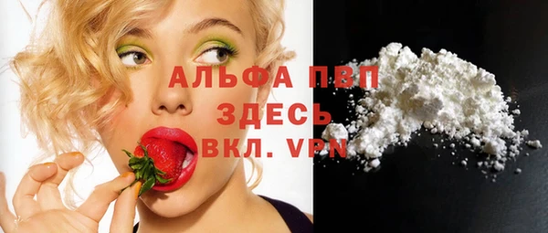 ECSTASY Семилуки