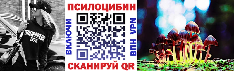 Псилоцибиновые грибы прущие грибы  Калтан 
